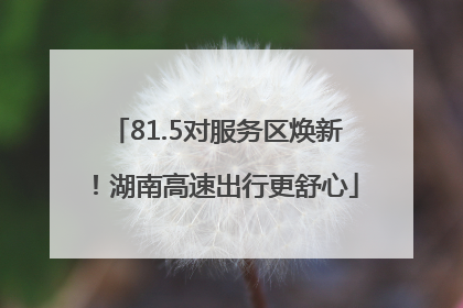 81.5对服务区焕新！湖南高速出行更舒心