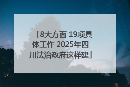 8大方面 19项具体工作 2025年四川法治政府这样建
