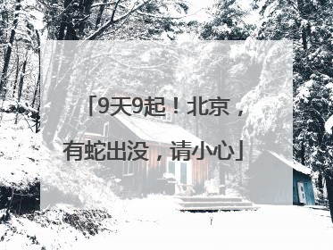 9天9起！北京，有蛇出没，请小心