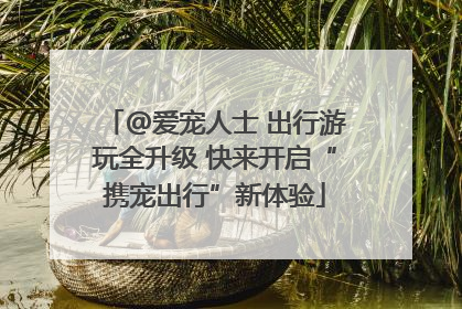 @爱宠人士 出行游玩全升级 快来开启“携宠出行”新体验