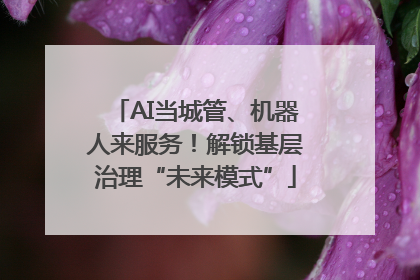 AI当城管、机器人来服务！解锁基层治理“未来模式”
