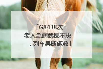 G8438次：老人急病就医不决，列车果断施救