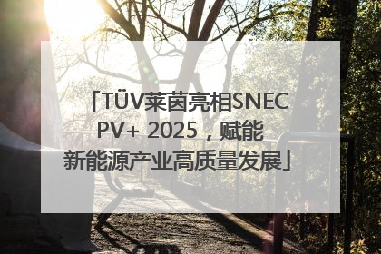 TÜV莱茵亮相SNEC PV+ 2025，赋能新能源产业高质量发展