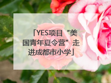 YES项目“美国青年夏令营”走进成都市小学